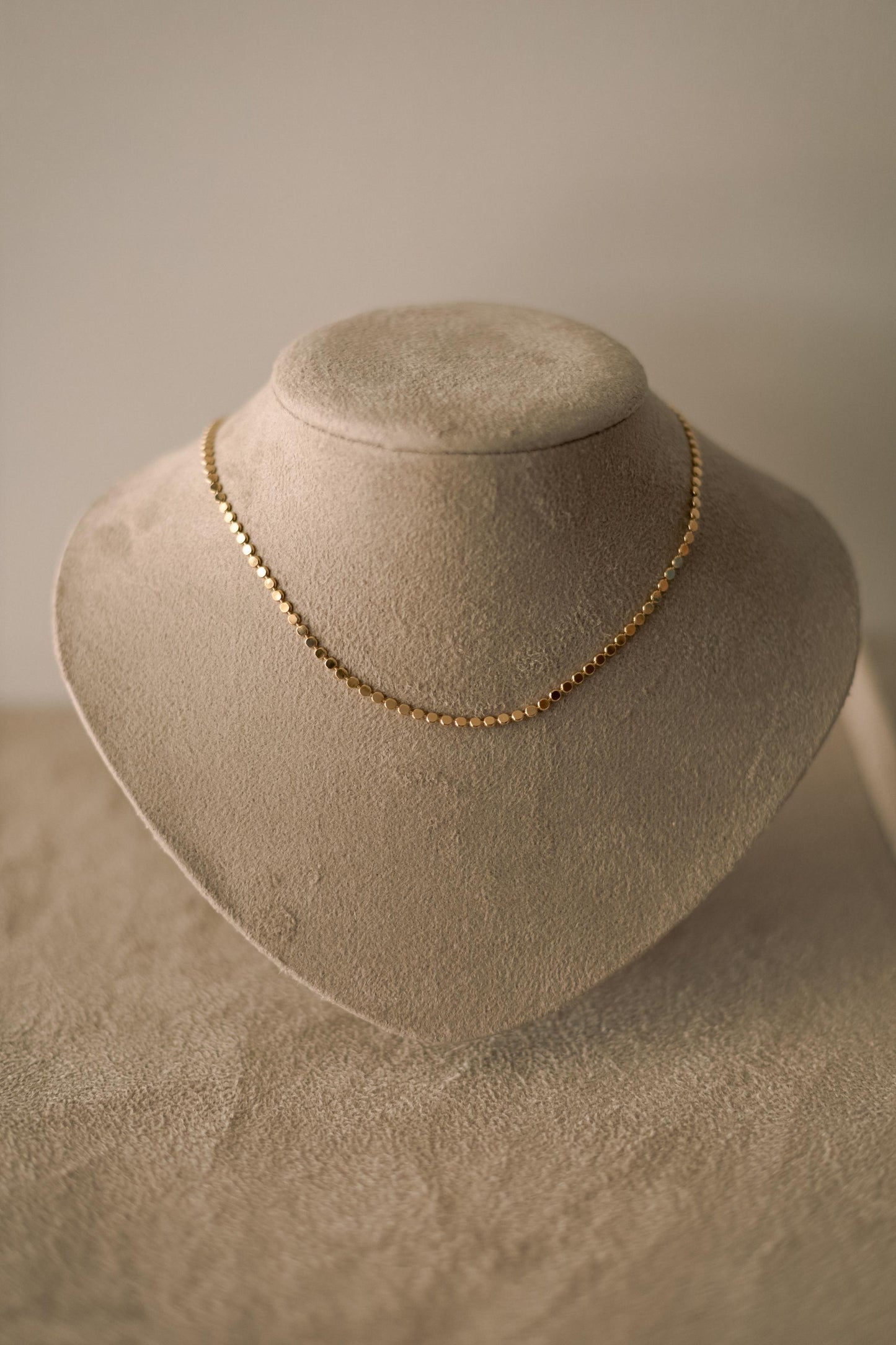 Colar Choker Chapinha Diamantada Dourado