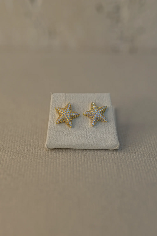 Brinco Estrela do Mar Cravejado Dourado
