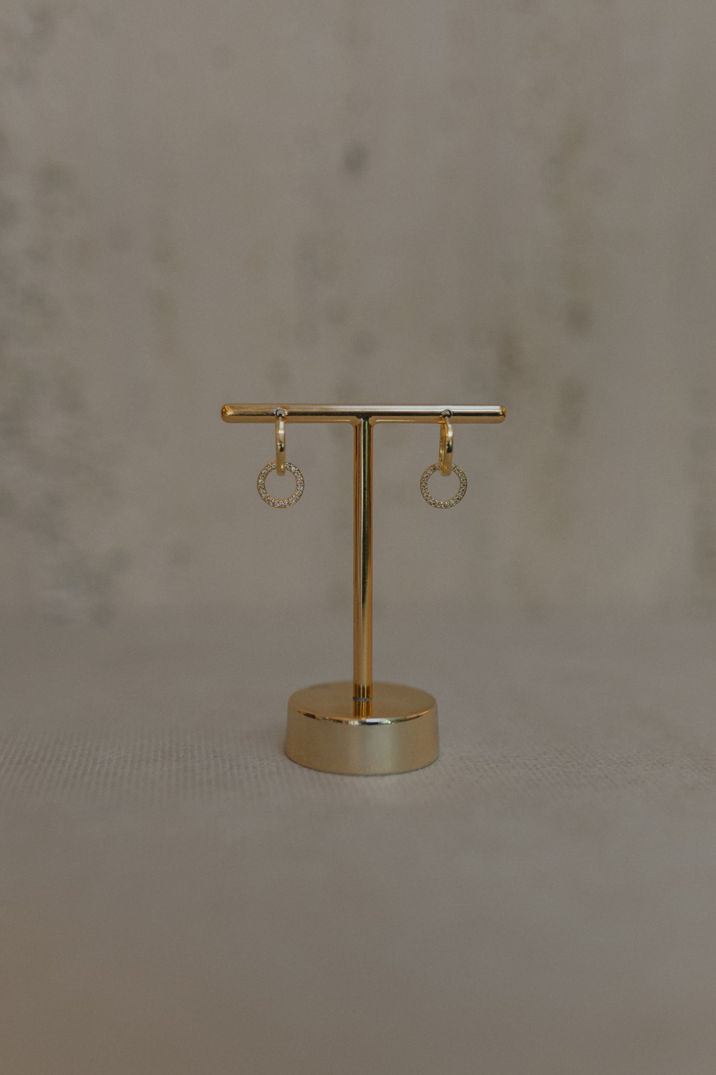 Brinco Argola com Círculo Cravejado Dourado