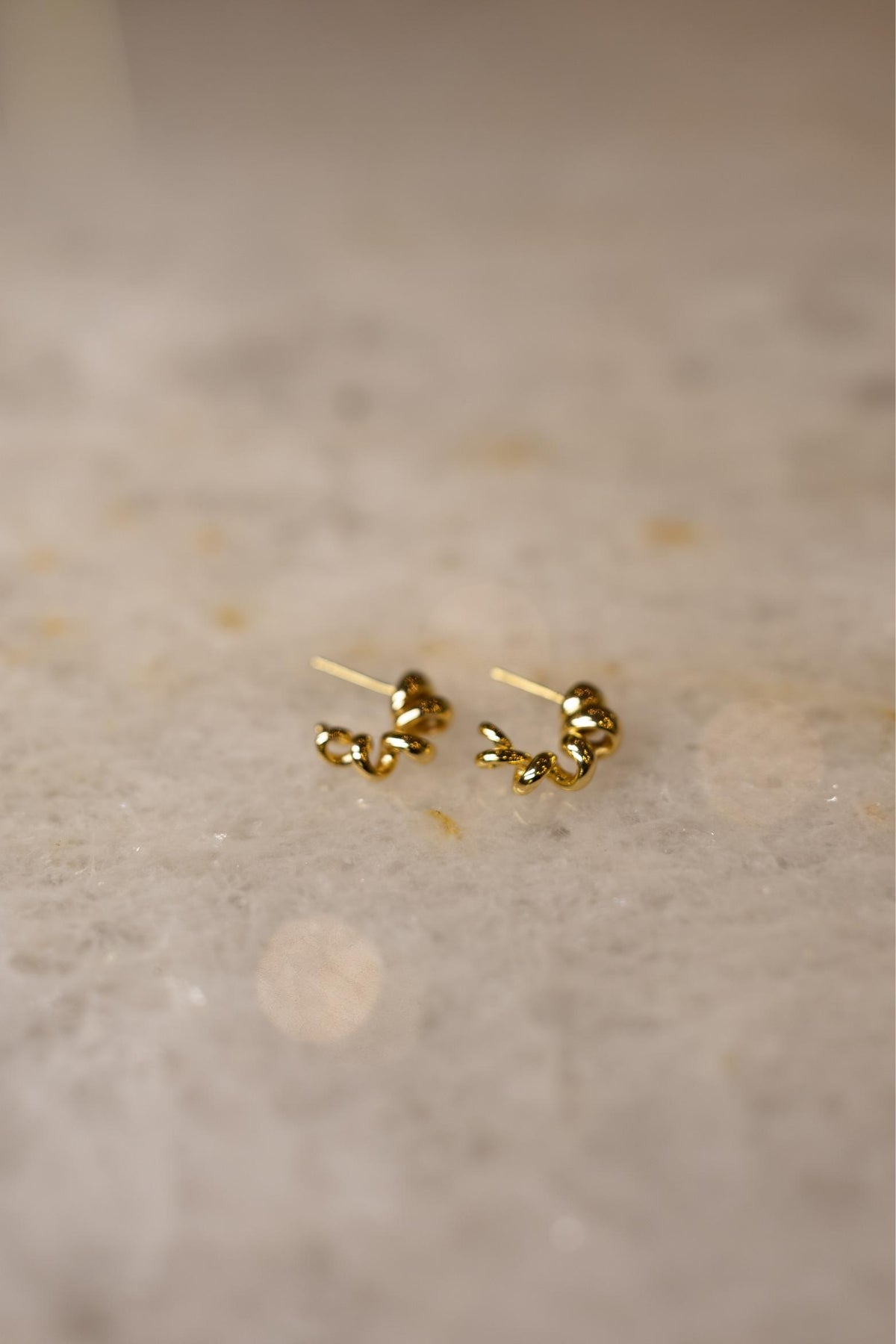 Brinco Argola Mola Dourado