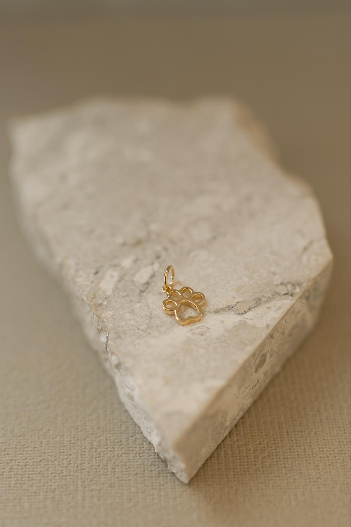Colar Patinha Pet Dourado