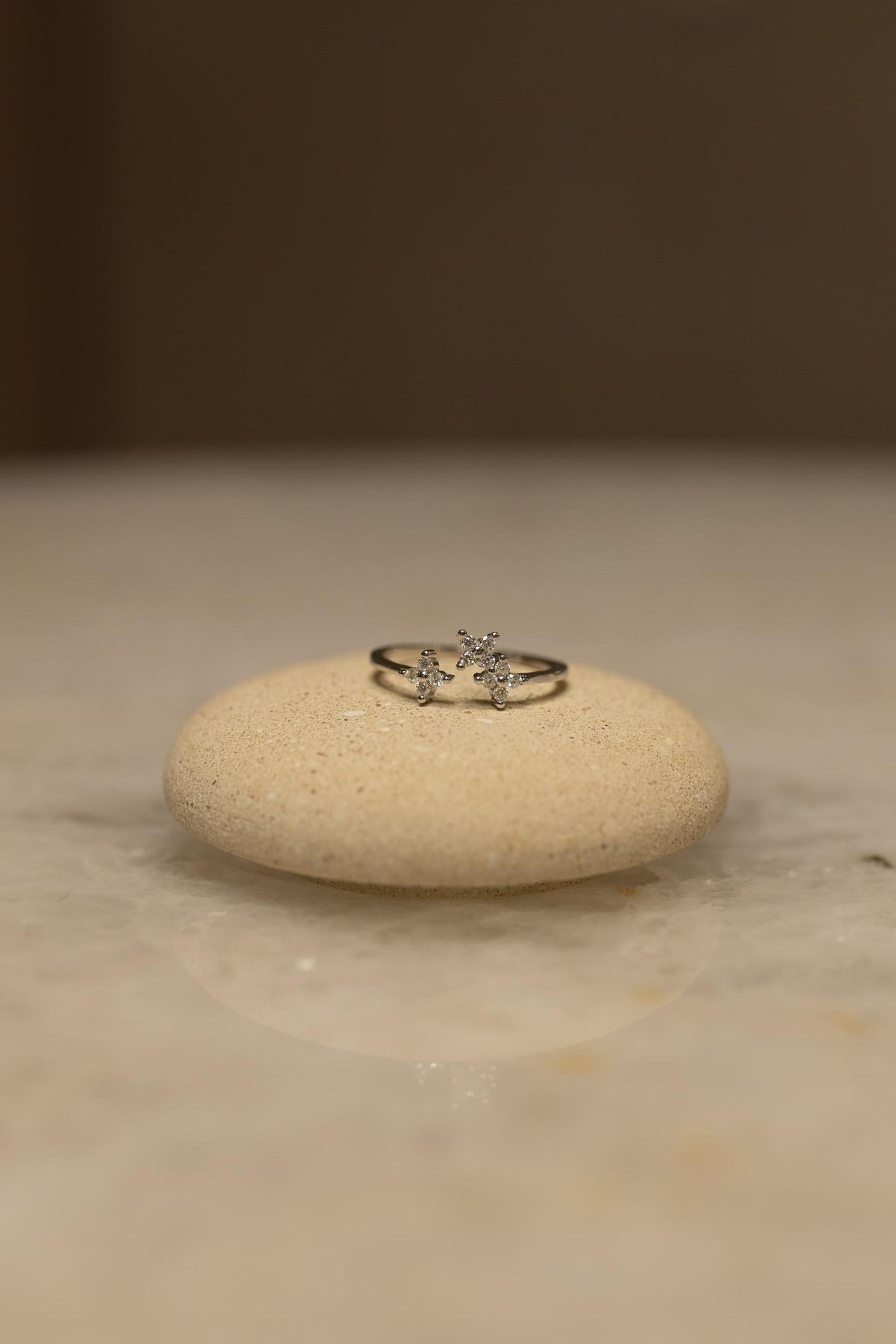 Anel Ajustável Flores Moissanite Prata 925 Ródio Branco