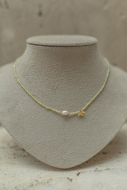 Choker Bee Pérola de Água Doce Dourado