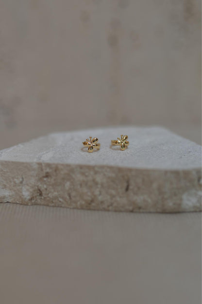 Brinco de Argola Borboleta Dourado