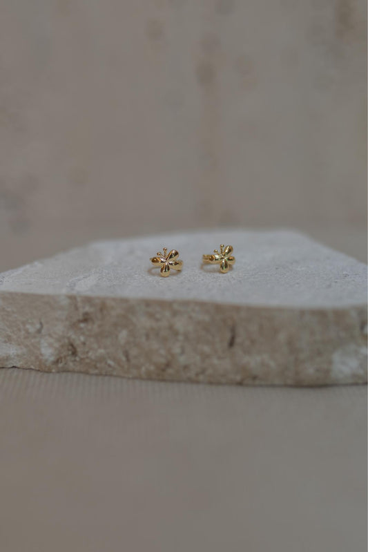 Brinco de Argola Borboleta Dourado