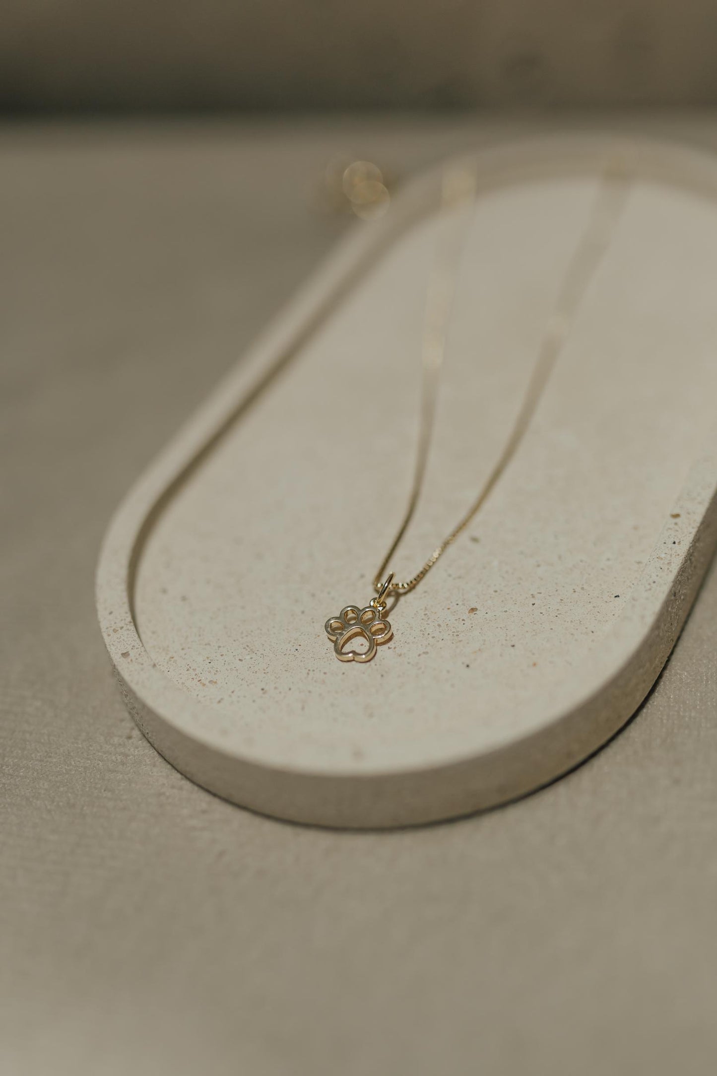 Colar Patinha Pet Dourado