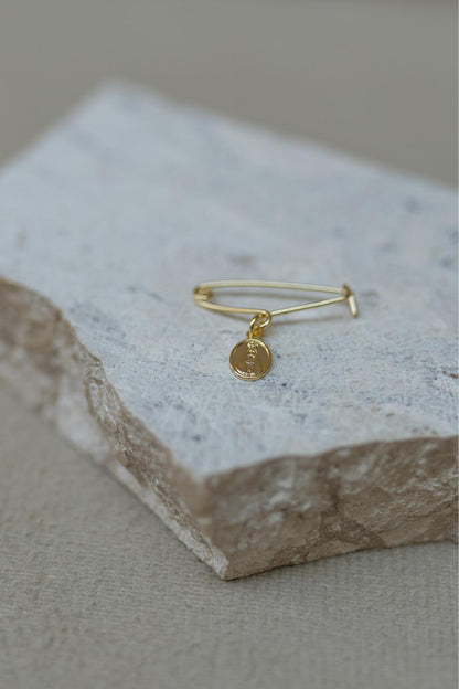 Alfinete Batizado Nossa Senhora Aparecida Dourado