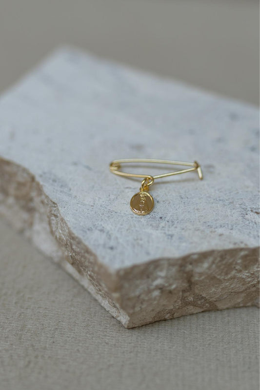 Alfinete Batizado Nossa Senhora Aparecida Dourado