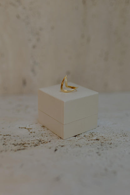 Anel Maria de Fátima Dourado