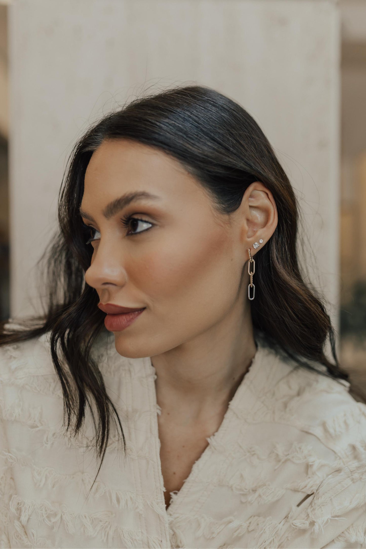 Brinco Argola de Elos Torcidos e Lisos Mix de Banhos