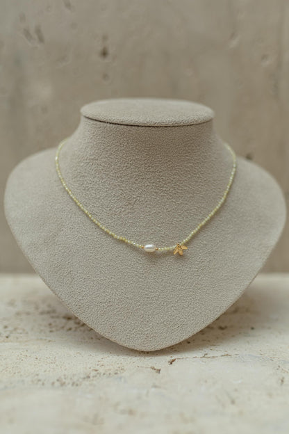 Choker Bee Pérola de Água Doce Dourado