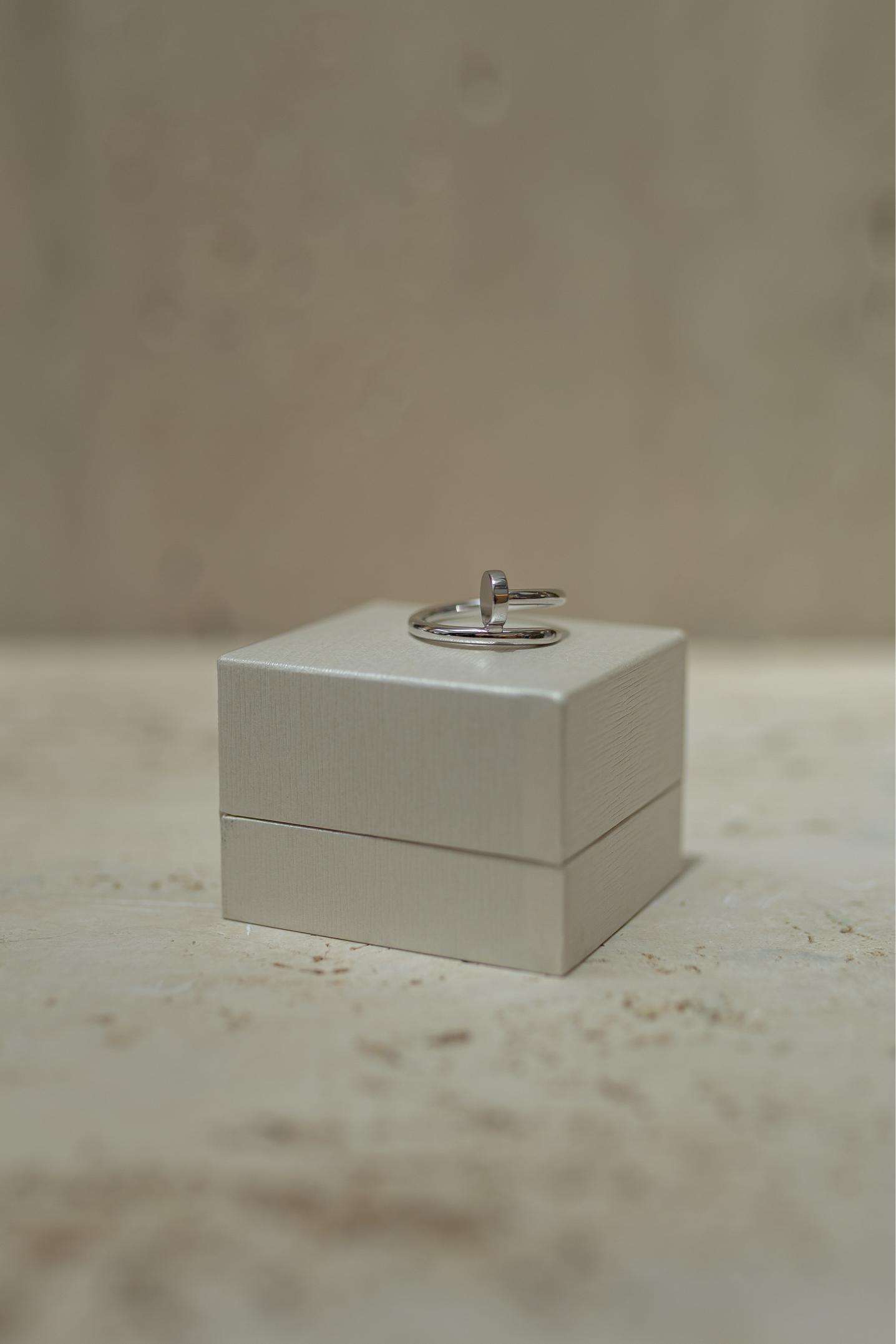 Anel Prego Ródio Branco