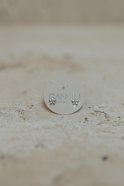 Brinco Mini Flor Ródio Branco