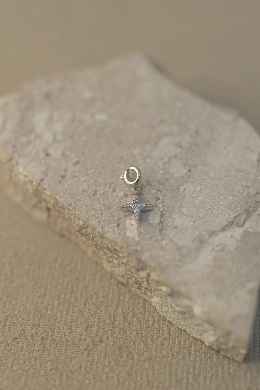 Pingente Shine Cravejado Ródio Branco