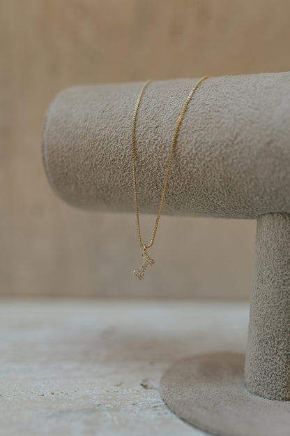 Colar Pingente Pet Osso Cravejado Dourado