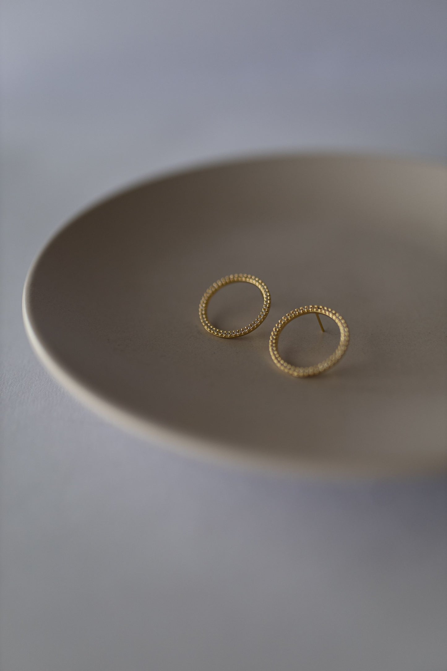 Brinco Círculo Frontal Cravejado Dourado