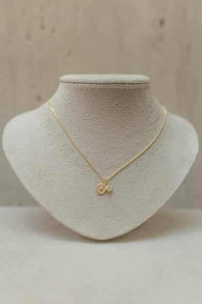 Colar Nossa Senhora das Graças Ponto de Luz Dourado