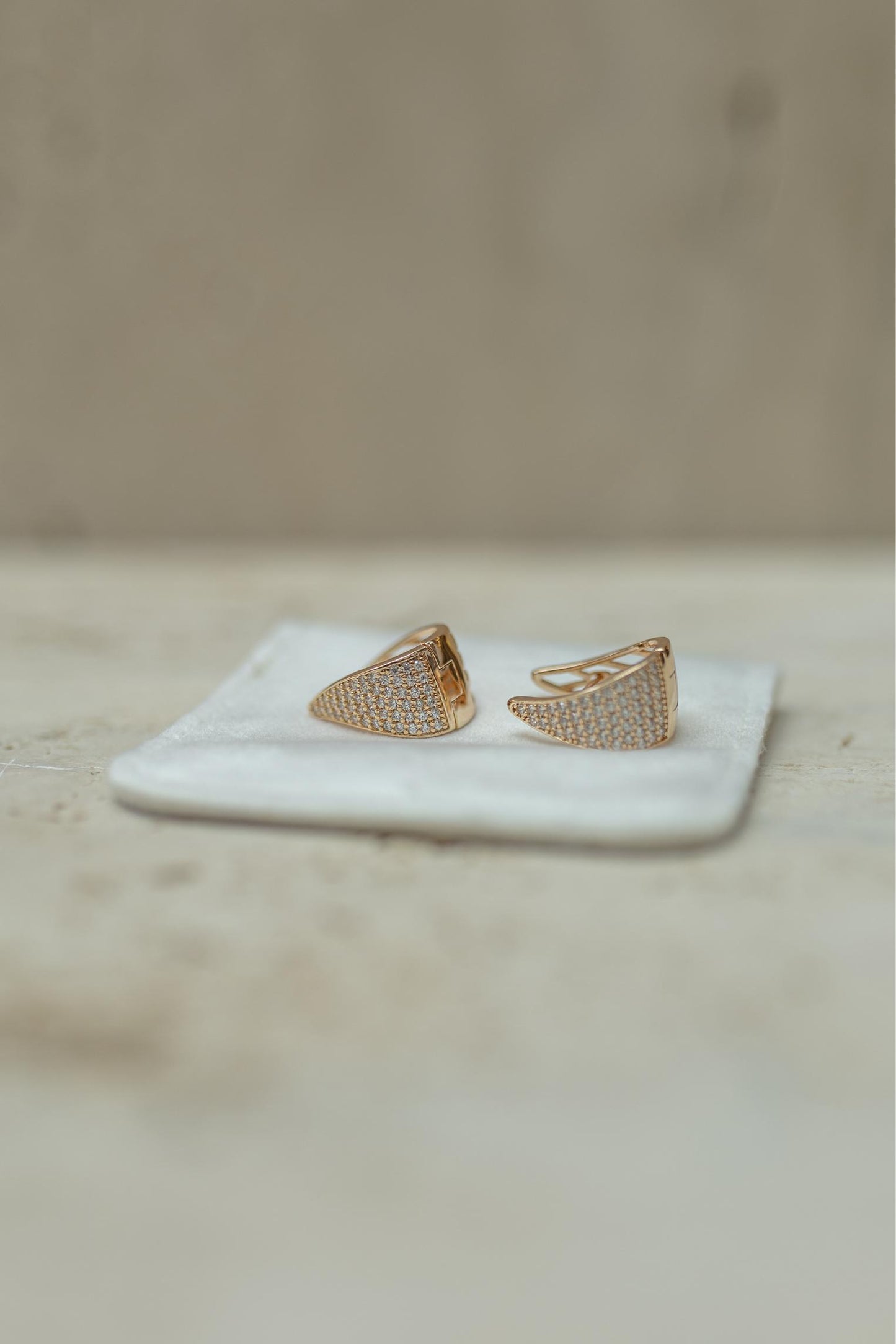 Brinco Argola Oval Cravejado Dourado