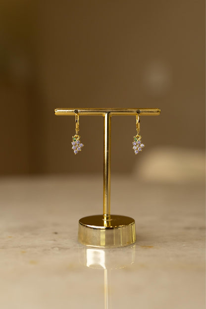 Brinco Argola Uva Dourado