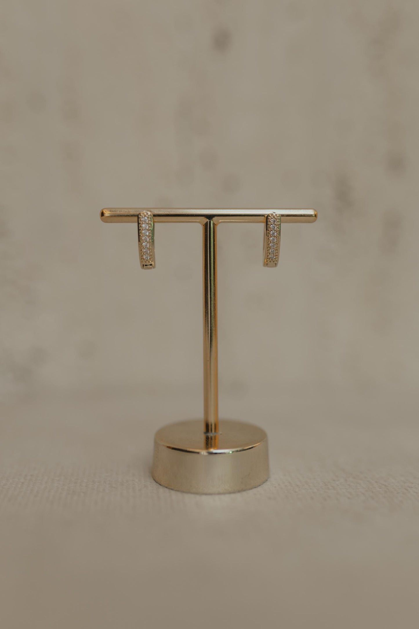 Brinco Argola Cravejada Dourado