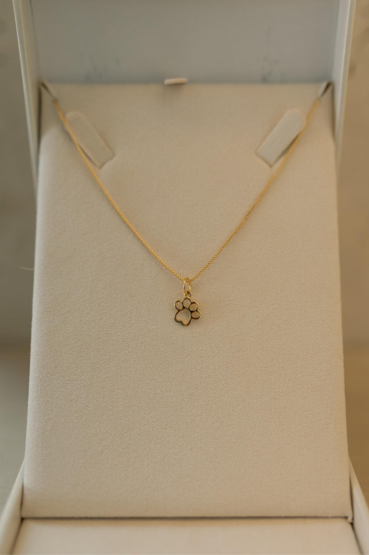 Colar Patinha Pet Dourado