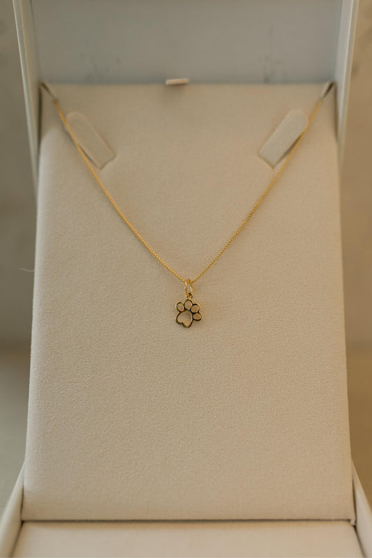 Colar Patinha Pet Dourado