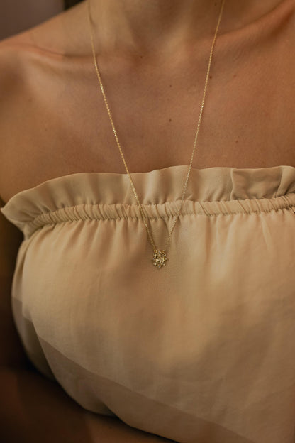 Colar Escapulário Cravejado Tradicional Dourado