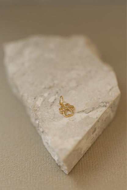 Colar Patinha Pet Dourado