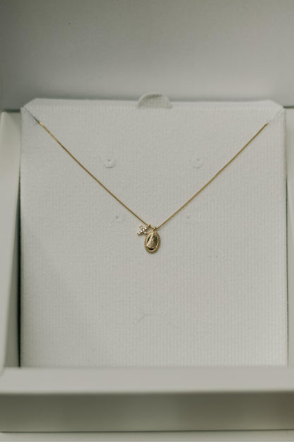 Colar Nossa Senhora Aparecida Cruz Cravejada Dourado